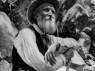 O ambientalista do século XIX, John Muir